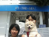 BY THE SEA Dog Photogallery
